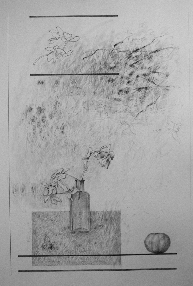 Drawing 1 c2011 Graphite on paper 32 x 22 ins