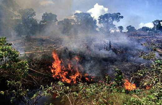 Deforestation Thailand
