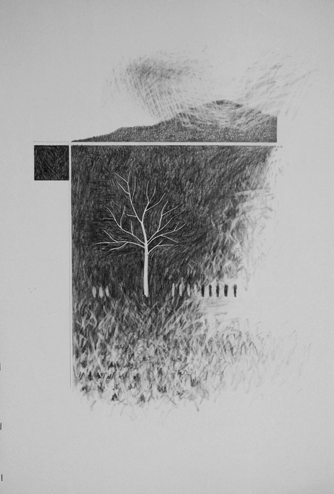 Brother Lawrence's Tree Mar 2010 Graphite 32 x 22 ins