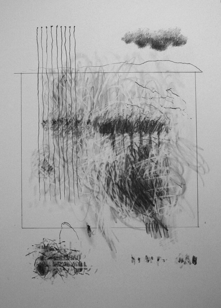 Dao drawing Feb 2011 Graphite Approx 15 x 12 ins