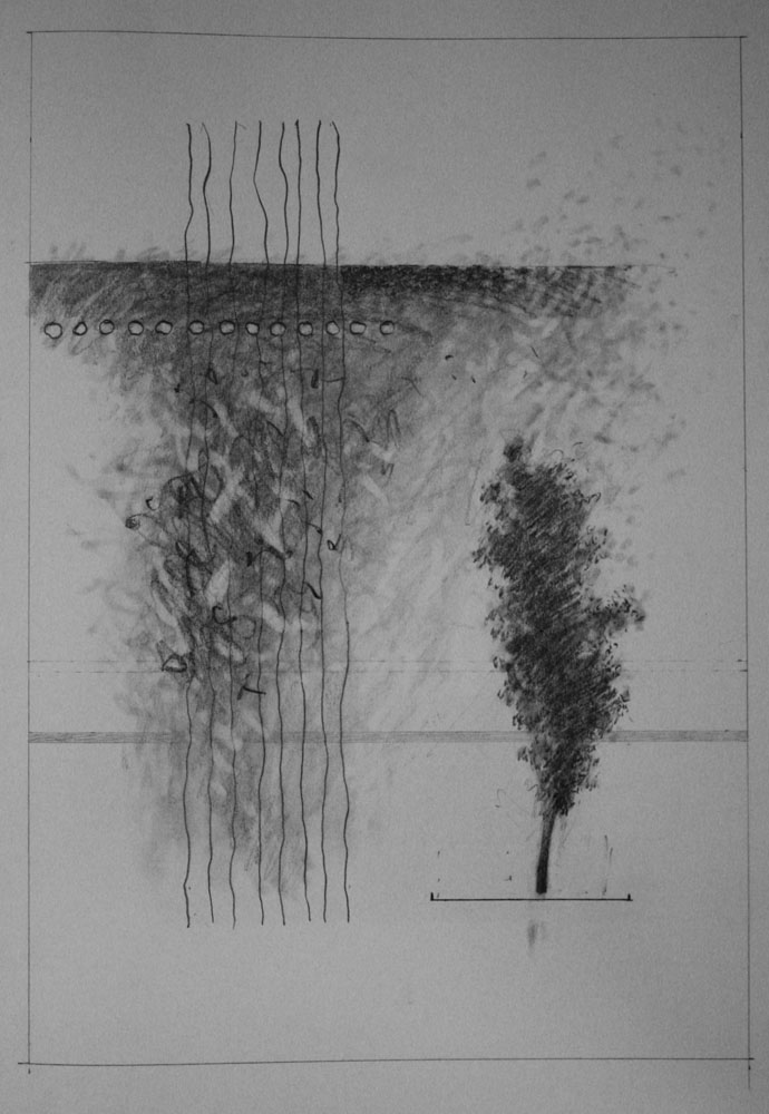 Dao drawing Jan 2011 Graphite Approx 15 x 12 ins