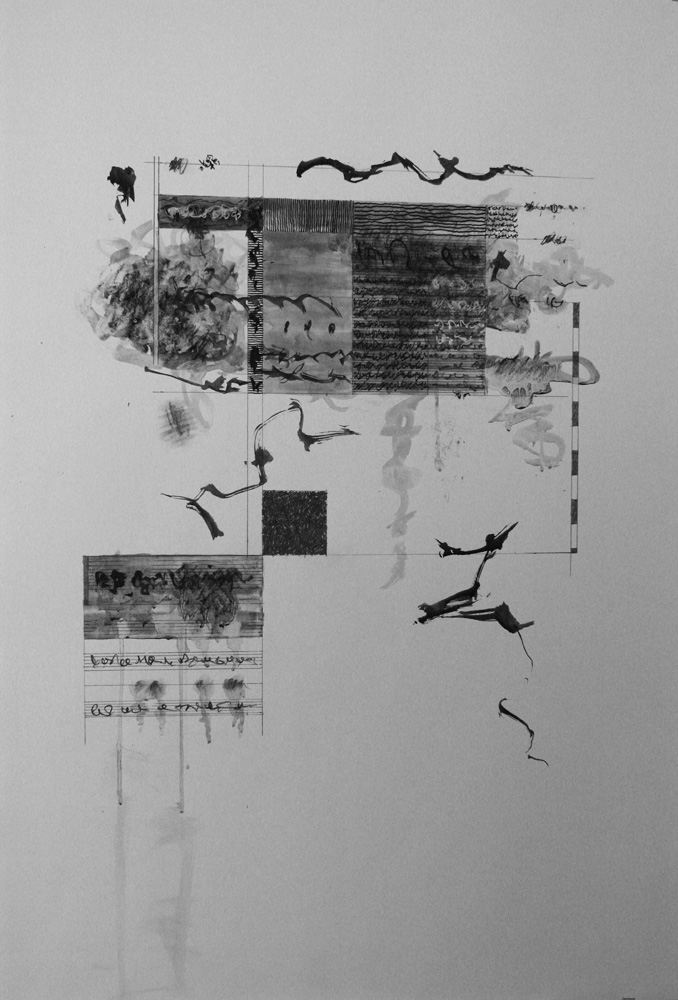 Scriptorium 1 2011 Ink and graphite Approx 32 x 22 ins