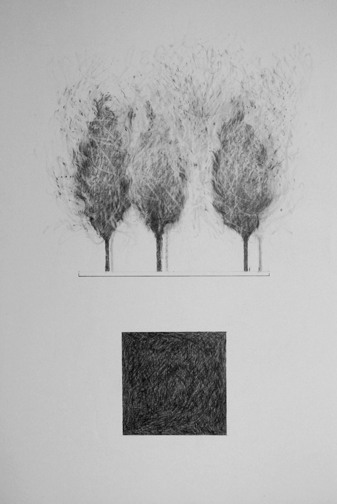 Three Trees Mar 2010 Graphite 32 x 22 ins