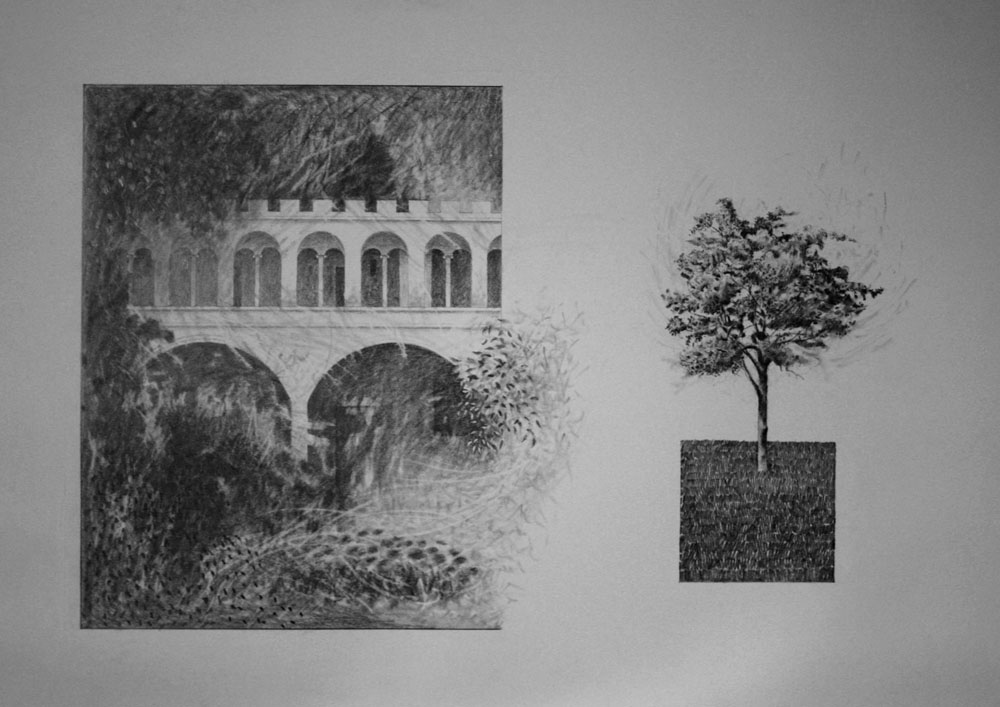 Tree and cloister Oct 2010 Graphite 22 x 32 ins